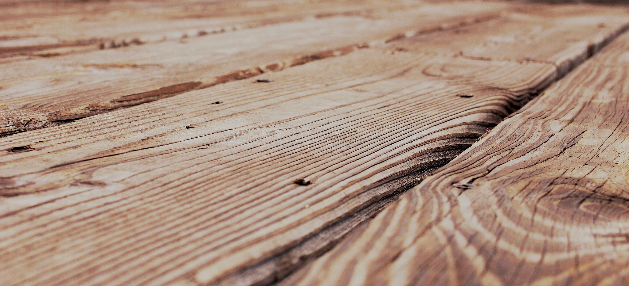 Density of Wood Explained – A Complete Overview