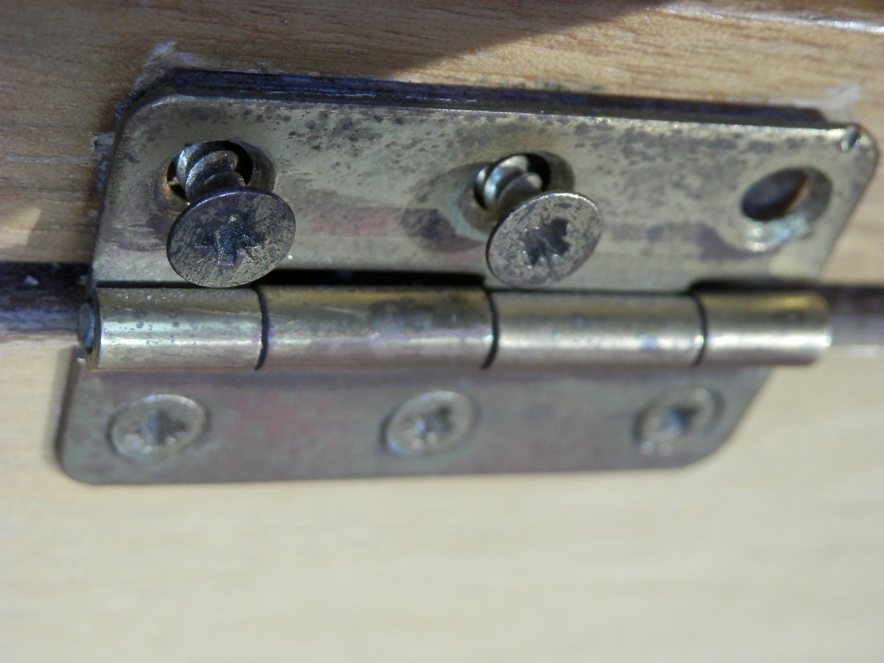 6 Types of Hinges & Their Uses (with Pictures)