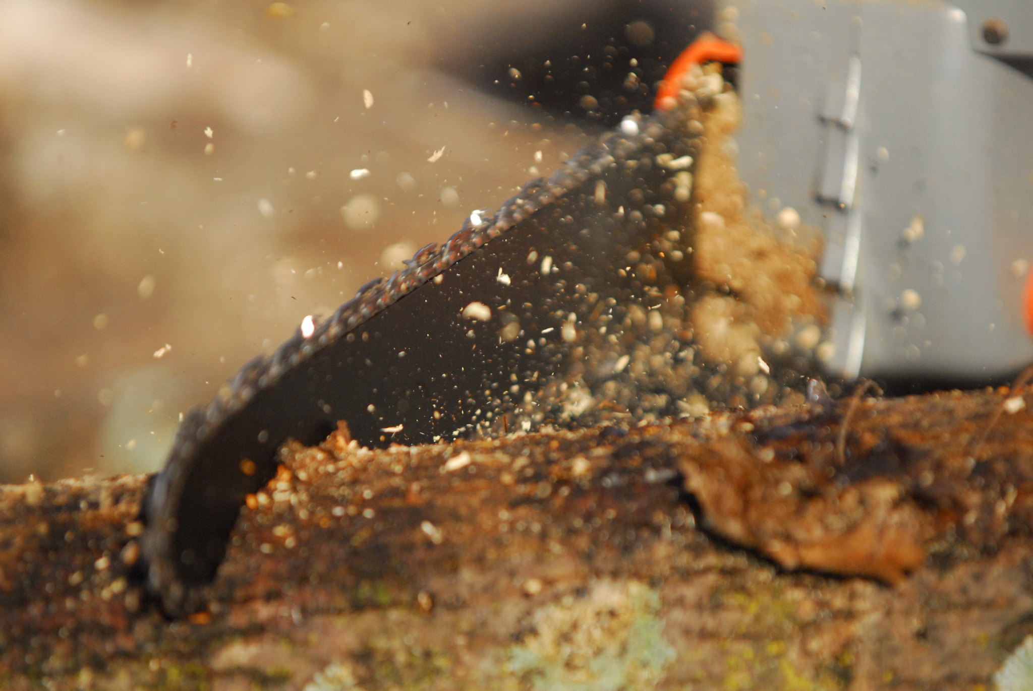 What is a Chainsaw Kickback – What Expert Says