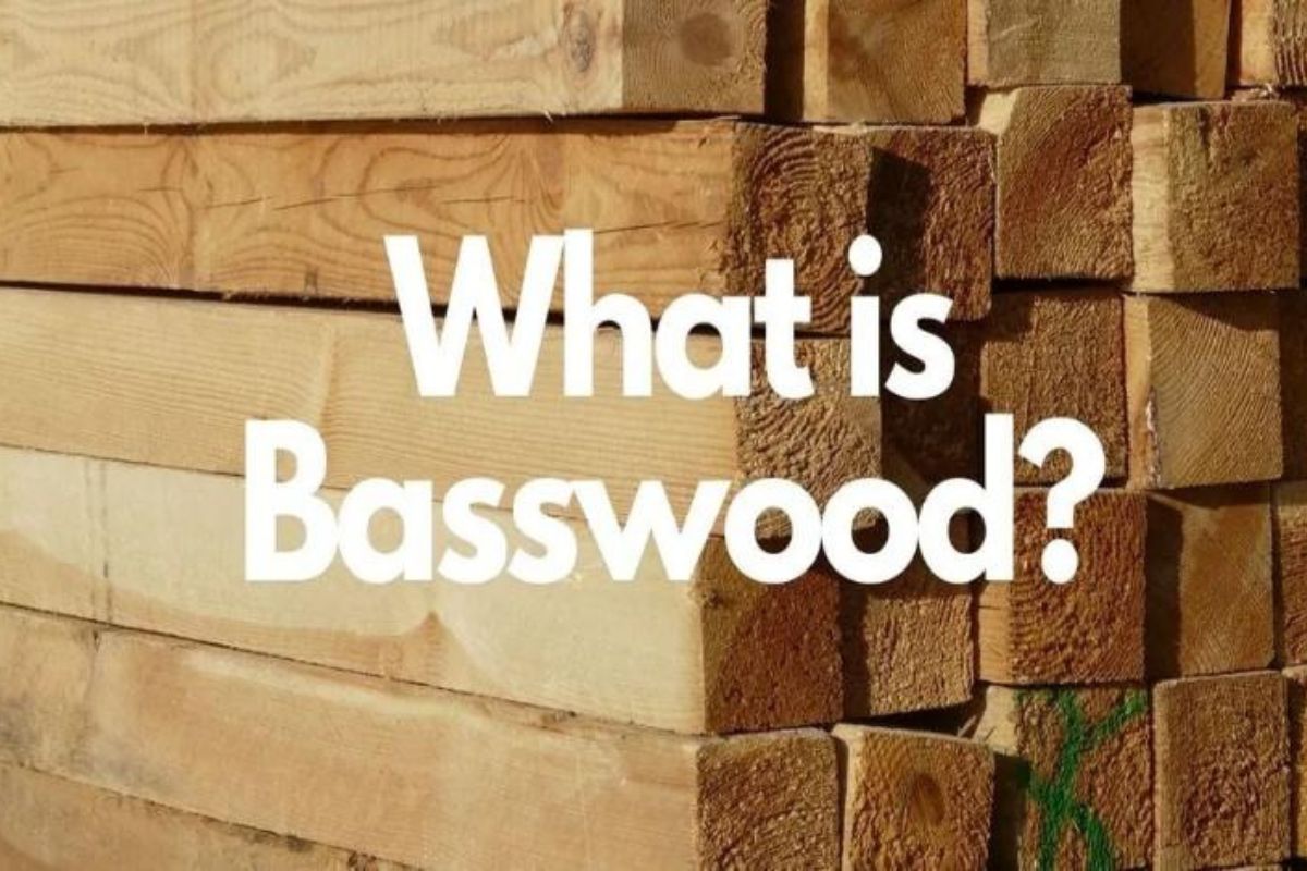 What is Basswood? A Comprehensive Guide￼