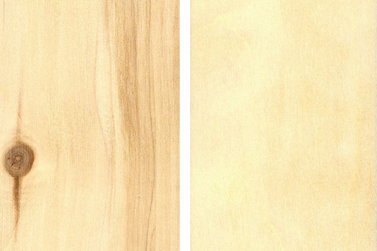 Aspen Vs. Poplar Wood: Which Is Better for Your Next Project?￼