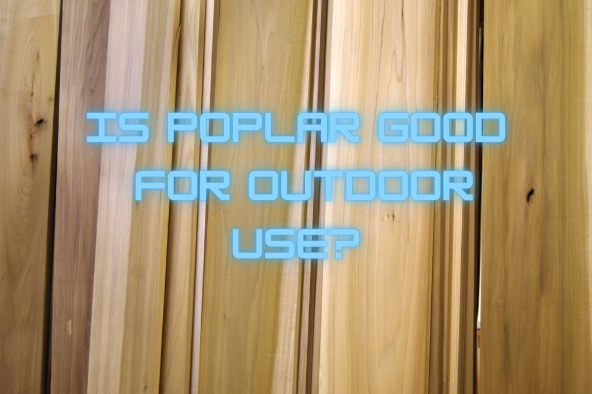 Is Poplar Good for Outdoor Use? Here’s What You Need to Know￼