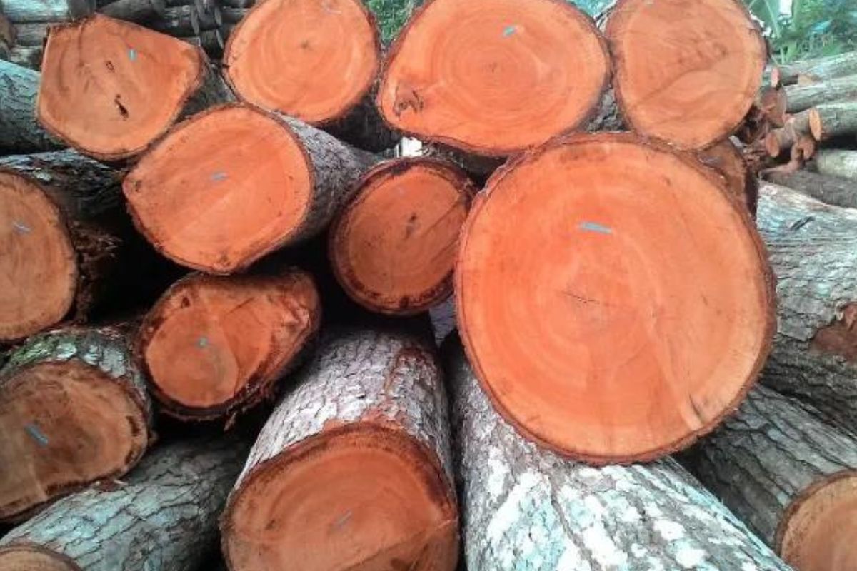 is mahogany a strong wood