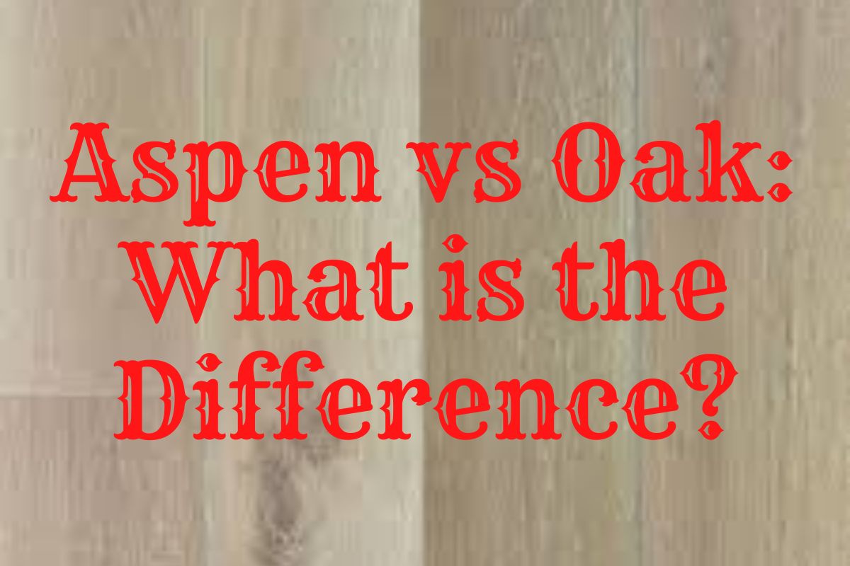 Aspen vs Oak: What is the Difference?
