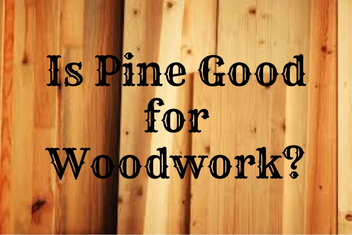 Is Pine Good for Woodwork? The Pros and Cons of Working with Pine