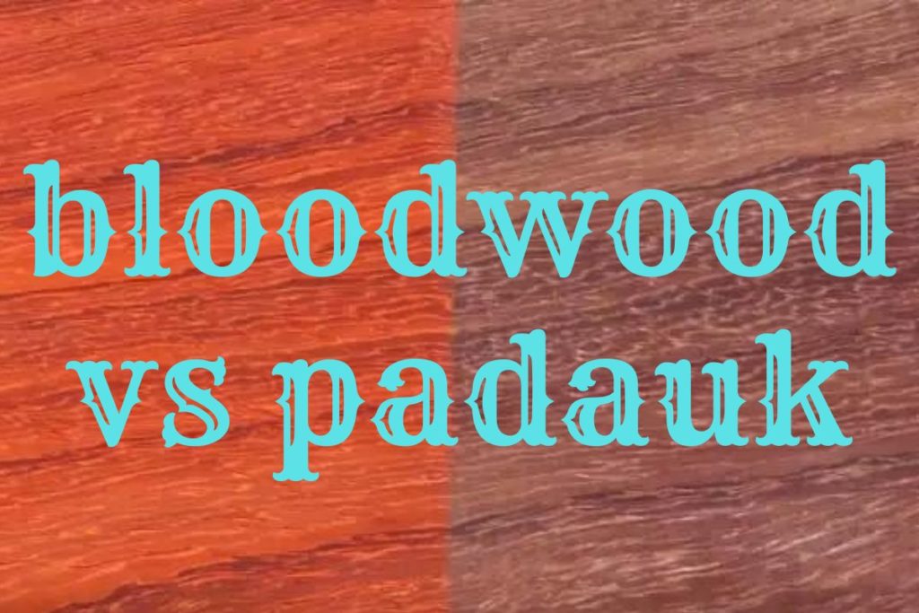 bloodwood vs padauk